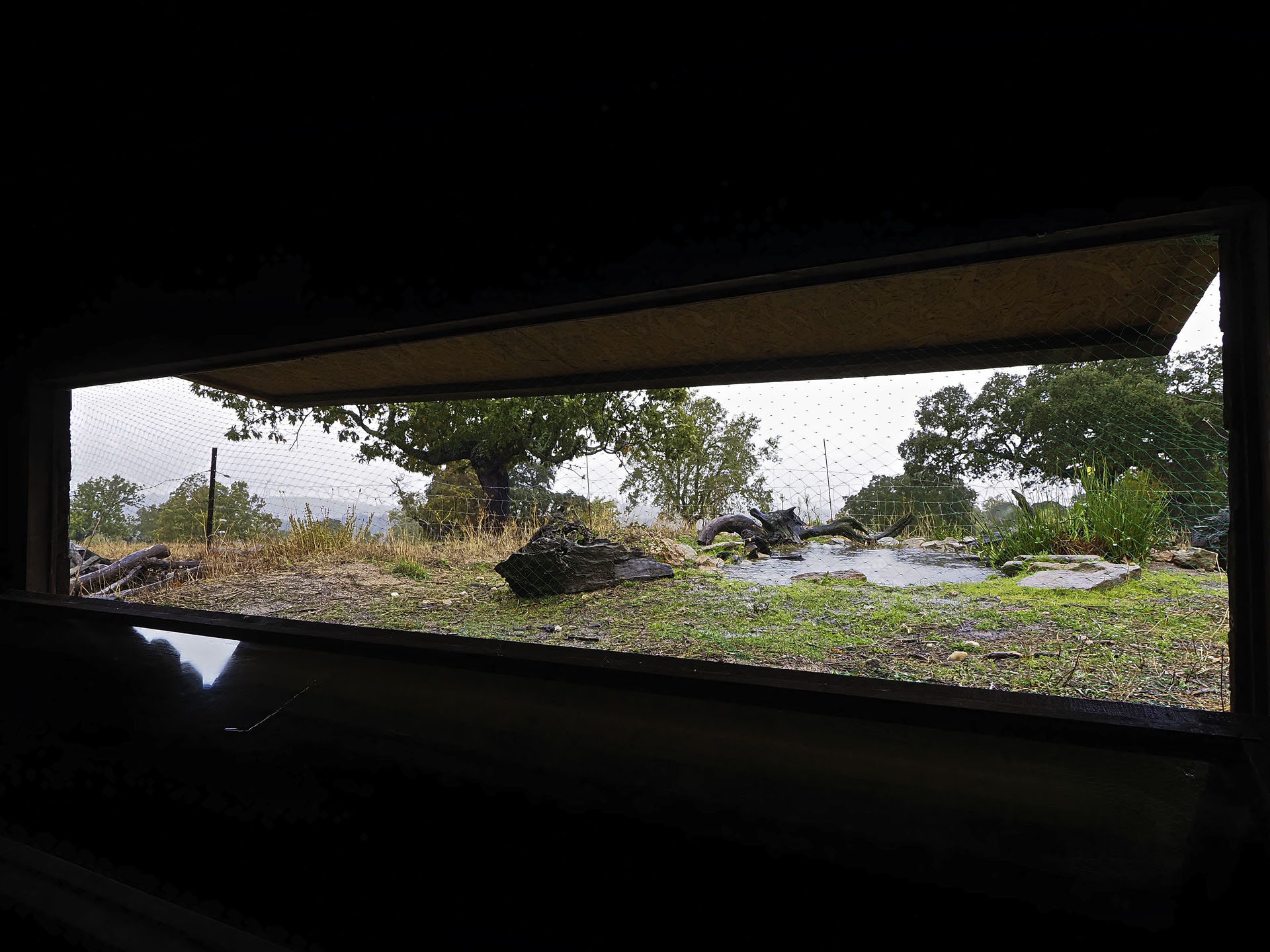 Hides para la Conservación  Reserva Biológica Campanarios de Azaba